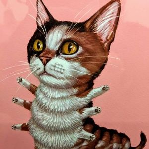 Meet your Posher, Tommy